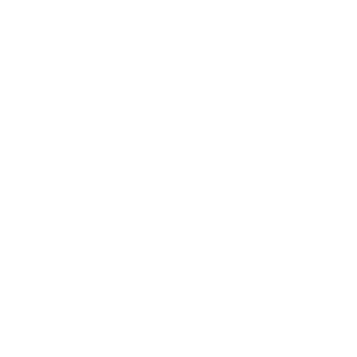 shopping-bag-icon